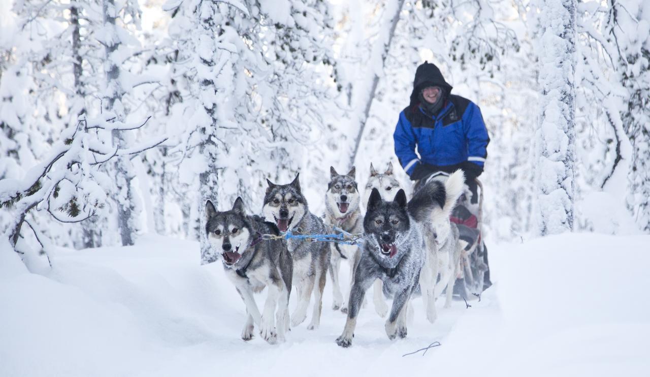 Wilderness Hotel Nangu & Igloos إيفالو المظهر الخارجي الصورة
